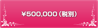 ¥500,000（税込）