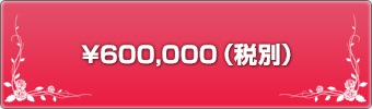 ¥600,000（税込）