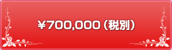 ¥700,000（税込）